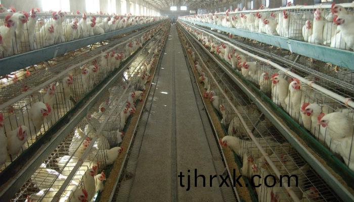 養(yang)殖場(chang)使用(yong)除臭案例(li)